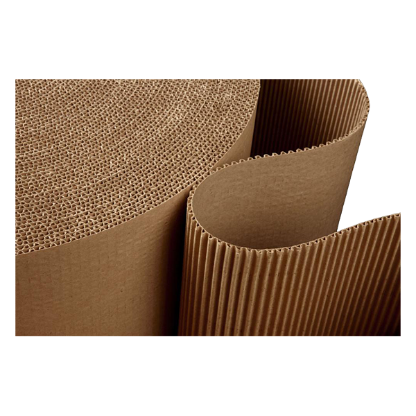 Giấy carton cuộn 2 lớp